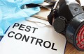 Golf Coast Termite Removal Experts