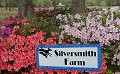 Silversmith Farm Boarding Kennel, LLC