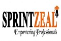 Sprintzeal Americas Inc.